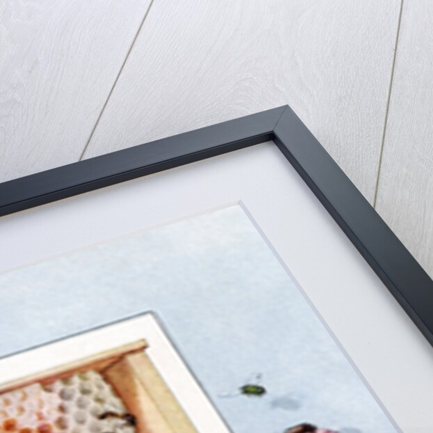 Illustration of bees making clover honey in propagation boxes by Anonymous