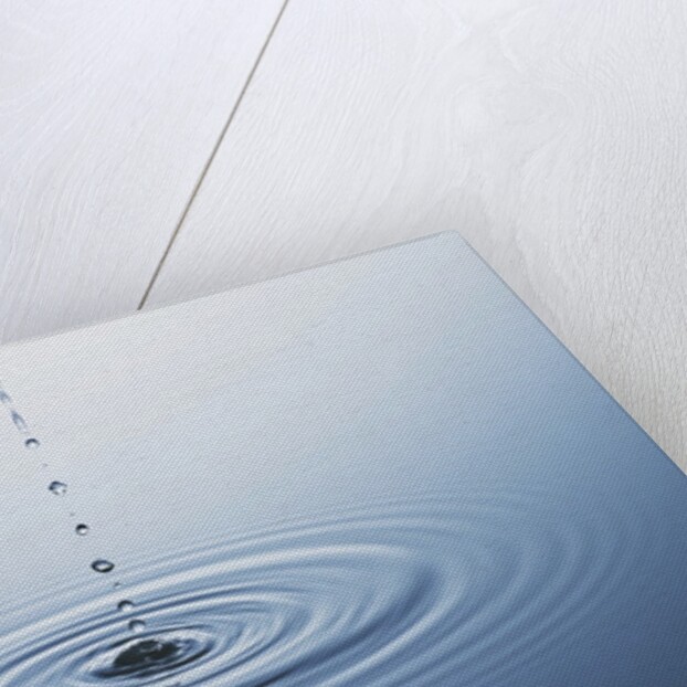 Ripple on Water by Anonymous
