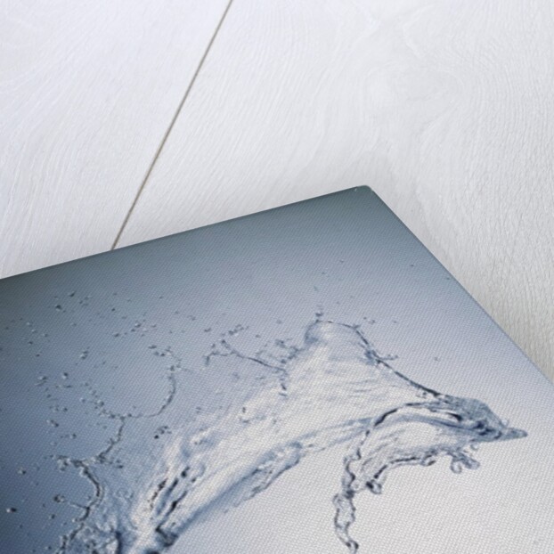 Water Splash by Anonymous