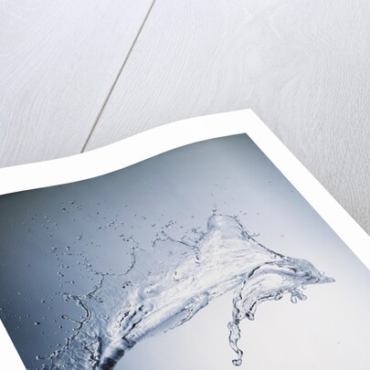 Water Splash by Anonymous