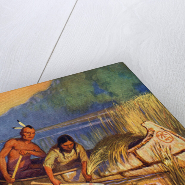 Illustration of Native Americans harvesting wild rice by Arnold Lorne Hicks