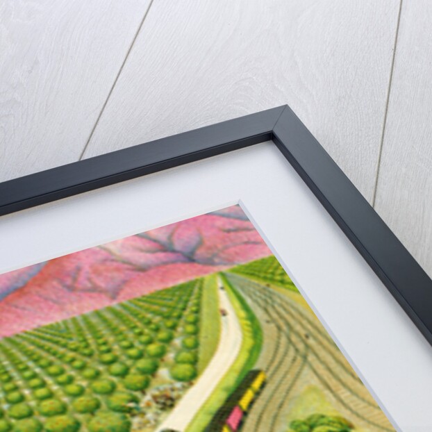 Illustration of California Orange Grove by C.H. DeWitt