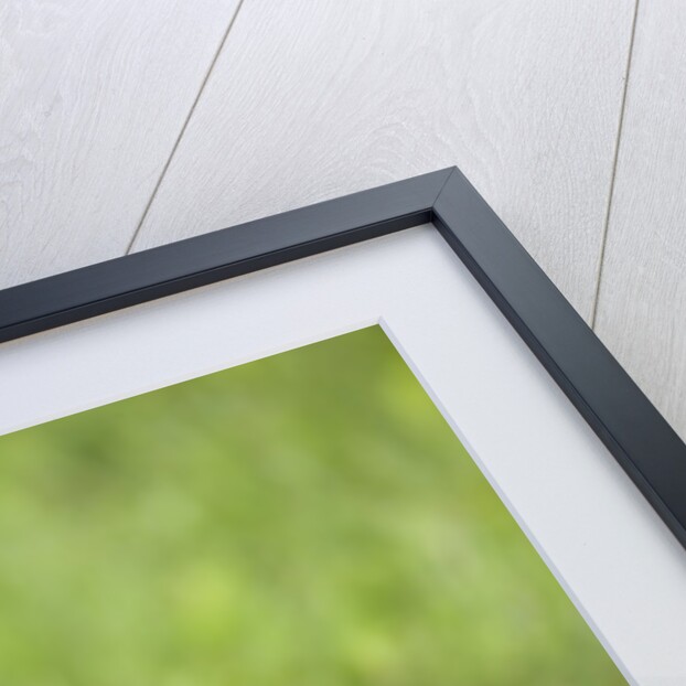 Baby skunk on log by Anonymous