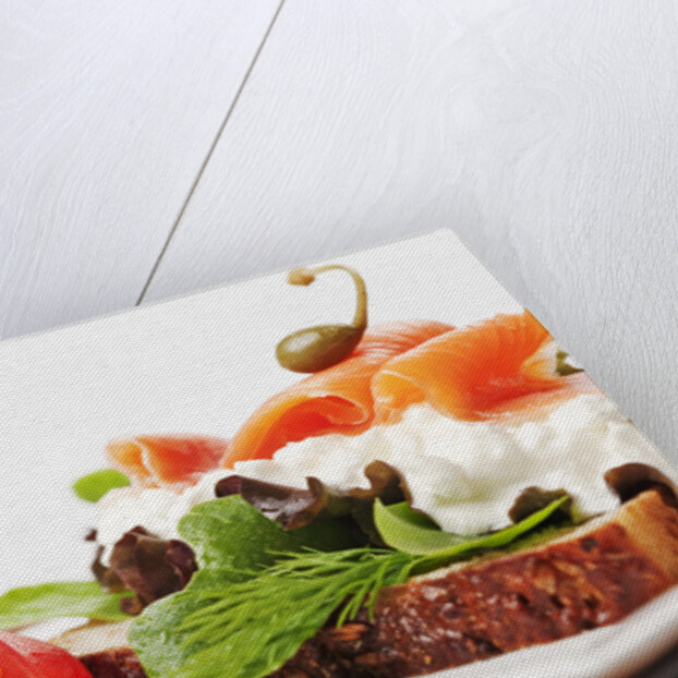 Open faced salmon and cottage cheese sandwich by Anonymous