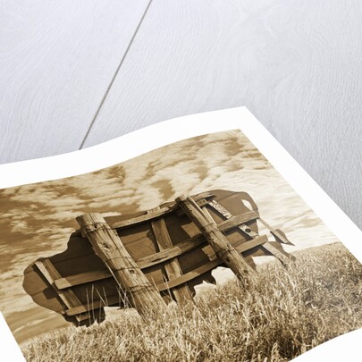 Abandoned Buffalo Sign by Tom Marks
