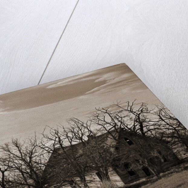 Abandoned House Surrounded by Trees by Tom Marks