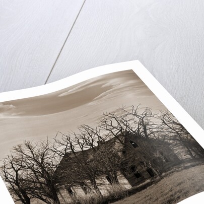Abandoned House Surrounded by Trees by Tom Marks