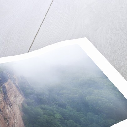 Fog over Fitzroy Falls in Morton National Park by Anonymous