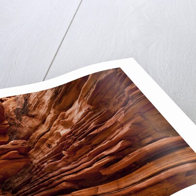 Sandstone rock formation in Kings Canyon at Watarrka National Park by Anonymous