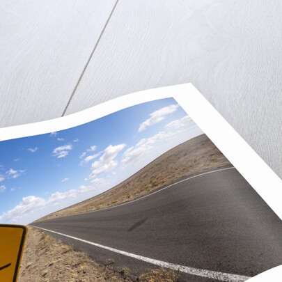 Kangaroo crossing sign in the Australian Outback by Anonymous
