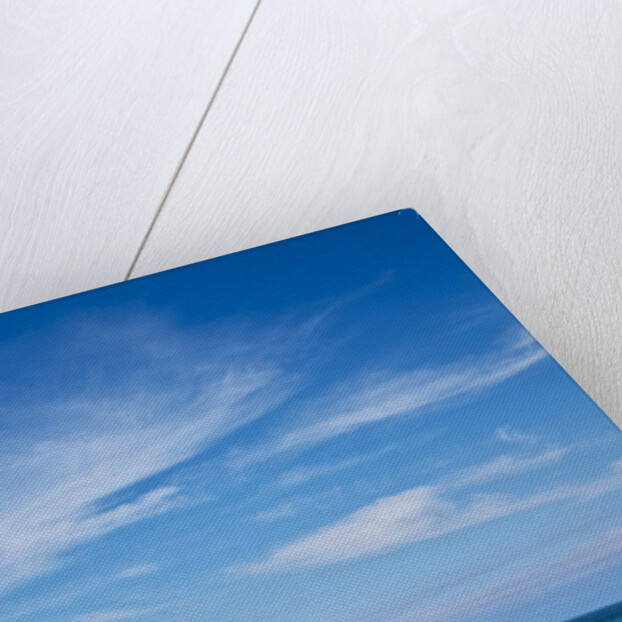 Ocean view at Cape Patton on Great Ocean Road in Australia by Anonymous