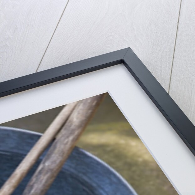 Ladling peach blossoms from a water pail by Anonymous