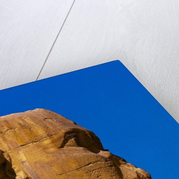 Detail of Great Sphinx at Giza by Anonymous