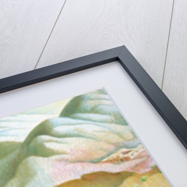 Illustration of battle during Mexican-American War by C.H. DeWitt