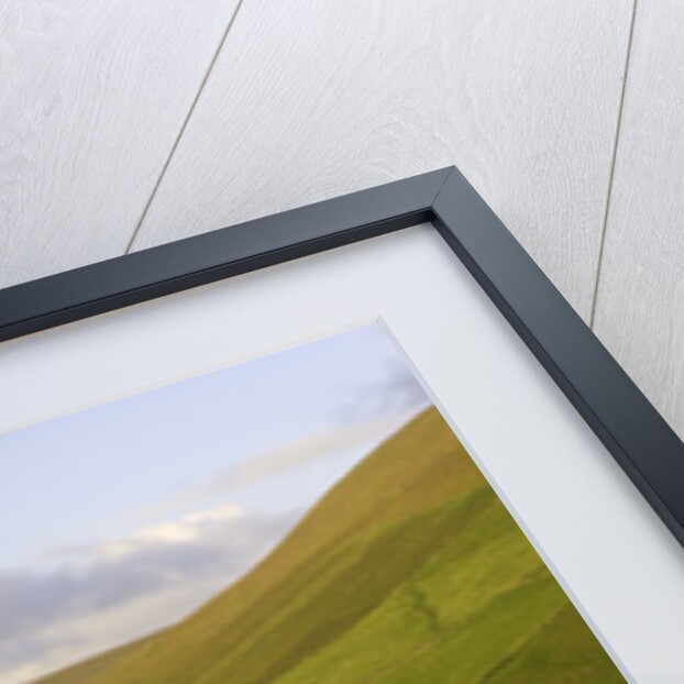View towards Clougher Head by Anonymous