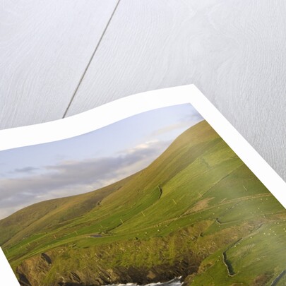 View towards Clougher Head by Anonymous
