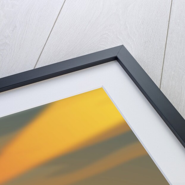 Steam Robot by Anonymous