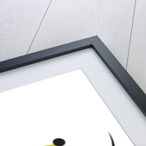 A Portrait of a Family Dog by Anonymous