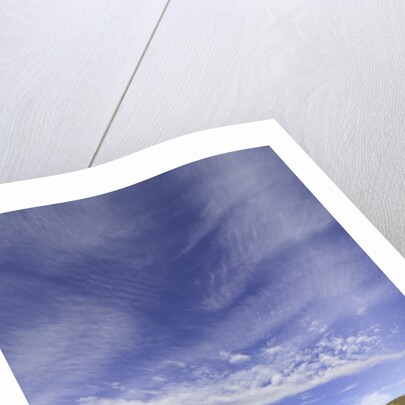 Cirrus and Cumulus Clouds Above Autumn Tundra in Denali National Park by Anonymous