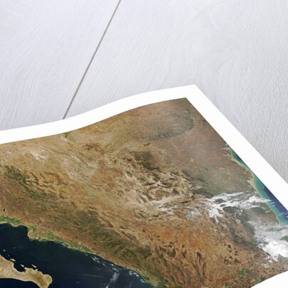 Baja State by Anonymous