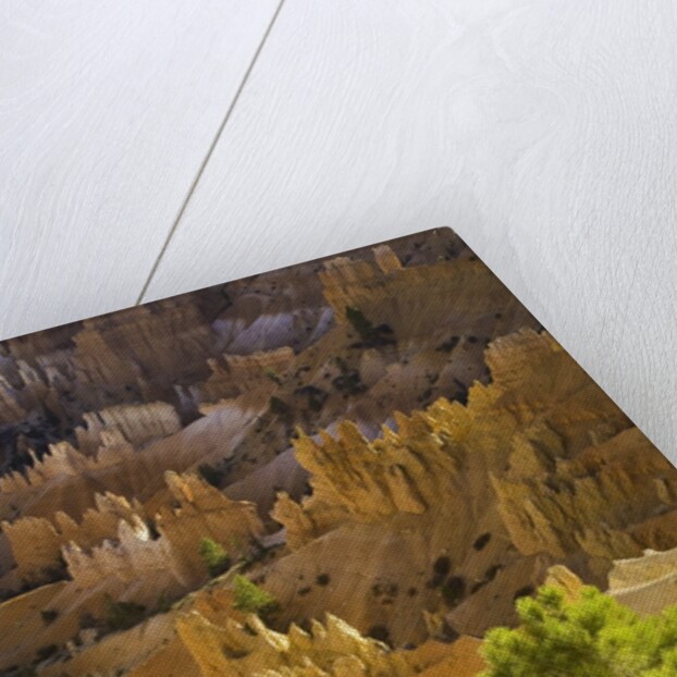 Sandstone hoodoos seen from Sunset Point in Bryce Canyon National Park by Anonymous