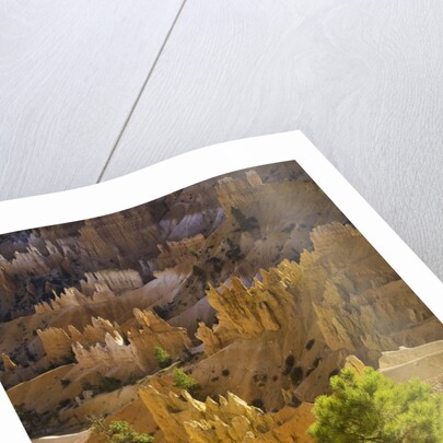 Sandstone hoodoos seen from Sunset Point in Bryce Canyon National Park by Anonymous