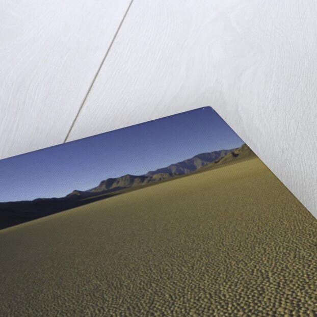 Granulated surface of sandy playa called Racetrack, Death Valley National Park, CA by Anonymous