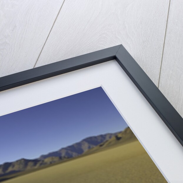 Granulated surface of sandy playa called Racetrack, Death Valley National Park, CA by Anonymous