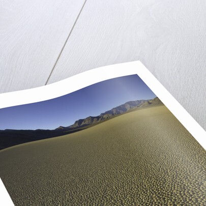 Granulated surface of sandy playa called Racetrack, Death Valley National Park, CA by Anonymous