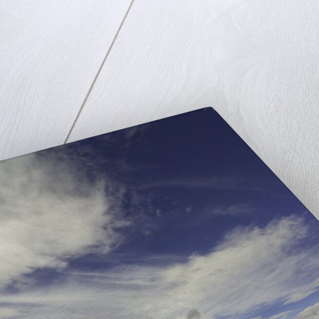 Cumulus clouds above wetland grasses in Klamath Basin National Wildlife Refuge by Anonymous