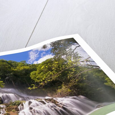 Waterfall in forest by Anonymous