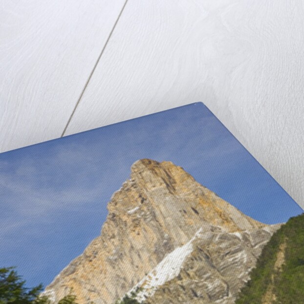 Cattle grazing at the foot of Mont Aiguille by Anonymous