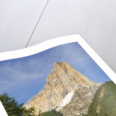 Cattle grazing at the foot of Mont Aiguille by Anonymous