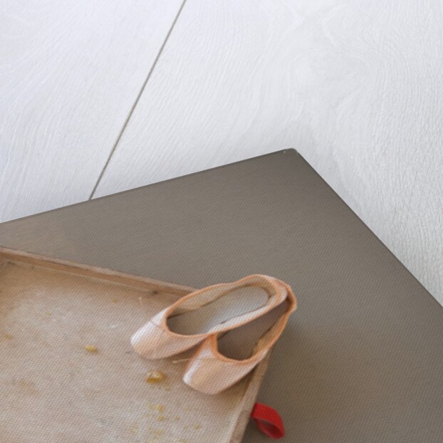 Ballet shoes waiting for the show by Anonymous