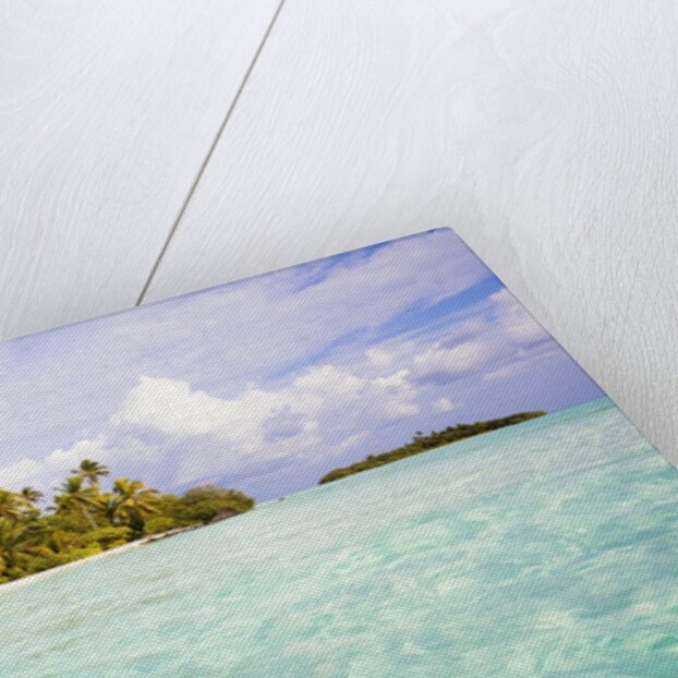 Sea kayaks on the beach of a coconut palm tree island by Anonymous