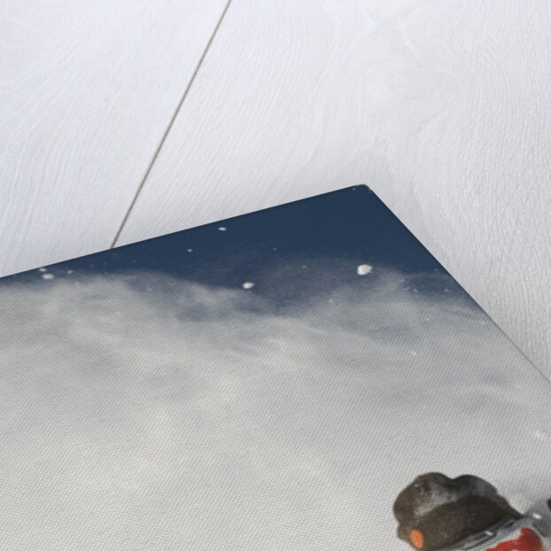 Skier in deep powder at Alta, Utah by Anonymous