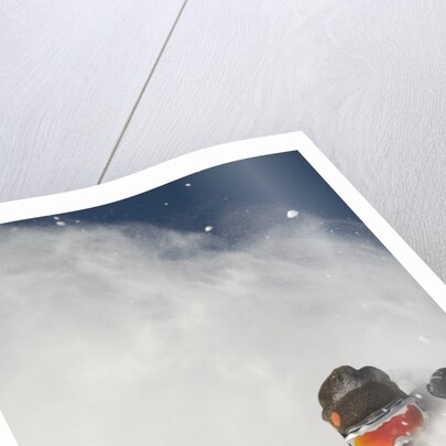 Skier in deep powder at Alta, Utah by Anonymous