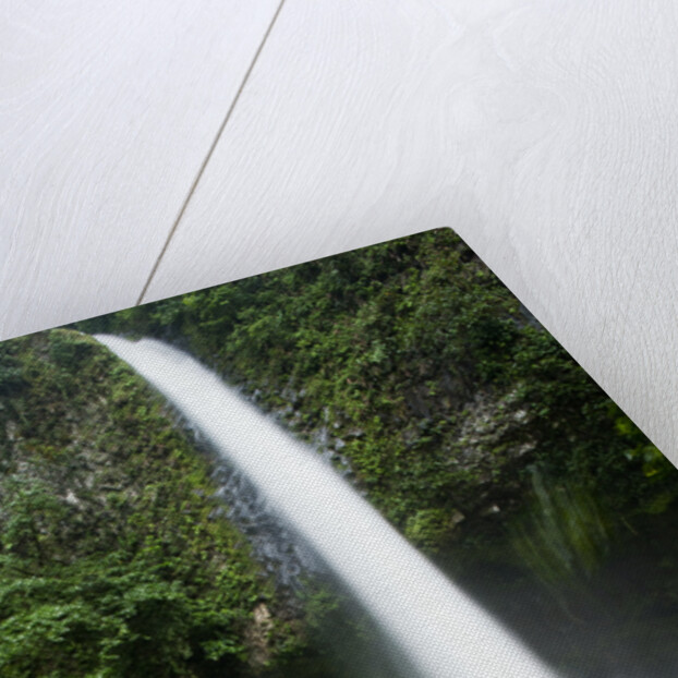 Waterfall in Rainforest Along Fortuna River by Anonymous