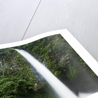 Waterfall in Rainforest Along Fortuna River by Anonymous