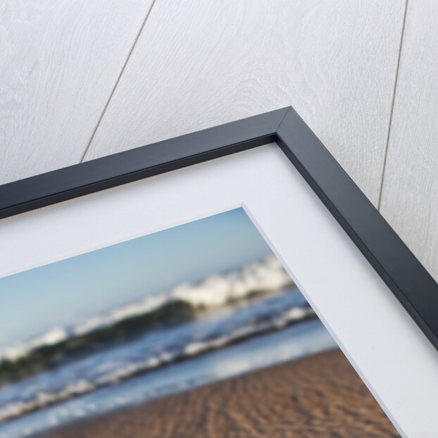 Hatchling Sea Turtle Heads to the Ocean by Anonymous
