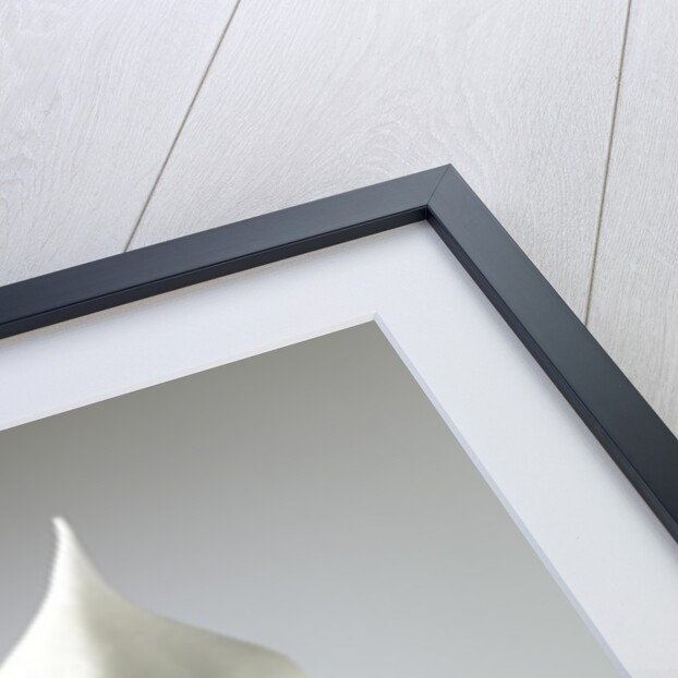 Whisk with Beaten Egg-whites by Anonymous