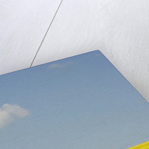 Wiltshire landscape by Anonymous