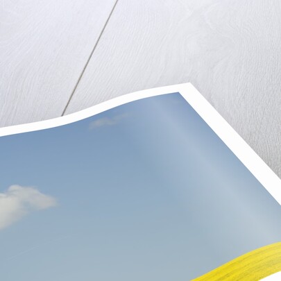 Wiltshire landscape by Anonymous