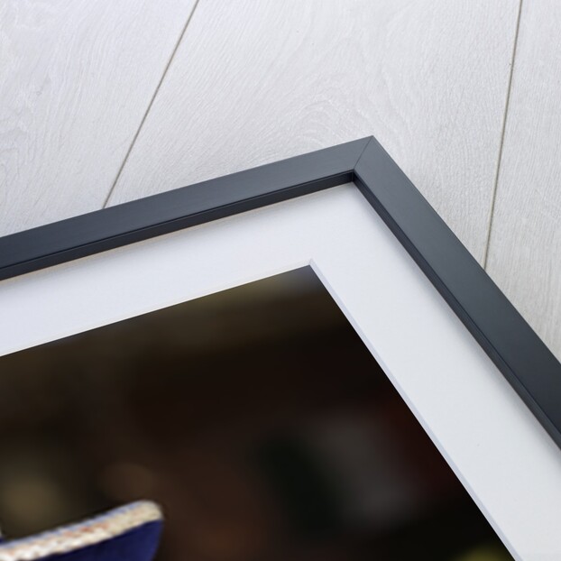 Iguana wearing a sombrero in Cabo San Lucas by Anonymous