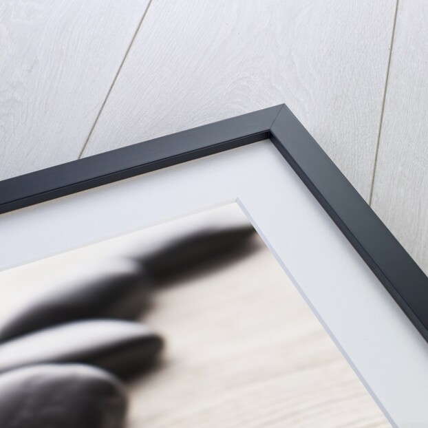 Rocks on sand by Anonymous