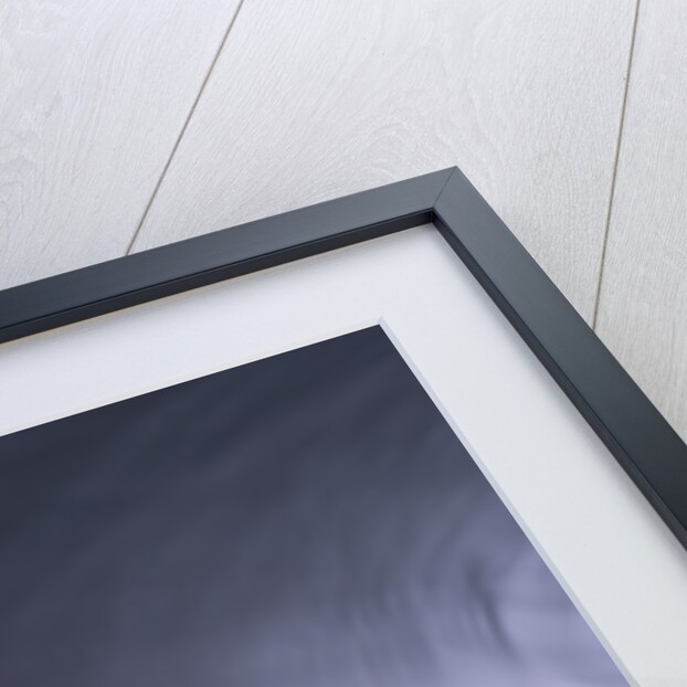 Burning incense on top of bowl of petals by Anonymous