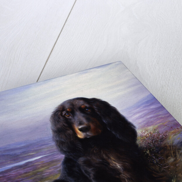 A Spaniel in the Highlands by Lilian Cheviot