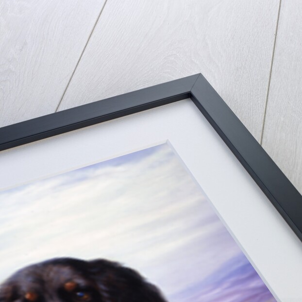 A Spaniel in the Highlands by Lilian Cheviot