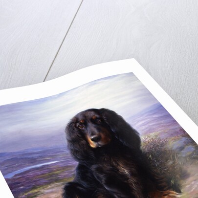 A Spaniel in the Highlands by Lilian Cheviot