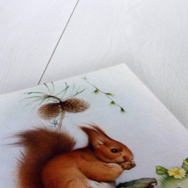 Red Squirrel with Primroses and Violets by Edward Julius Detmold